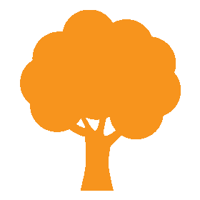 Orange_Tree orange tree icon
